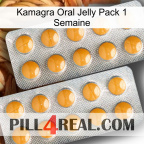 Kamagra Oral Jelly 1 Week Pack levitra2